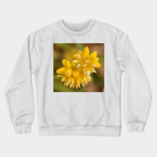 Golden Aussies Crewneck Sweatshirt